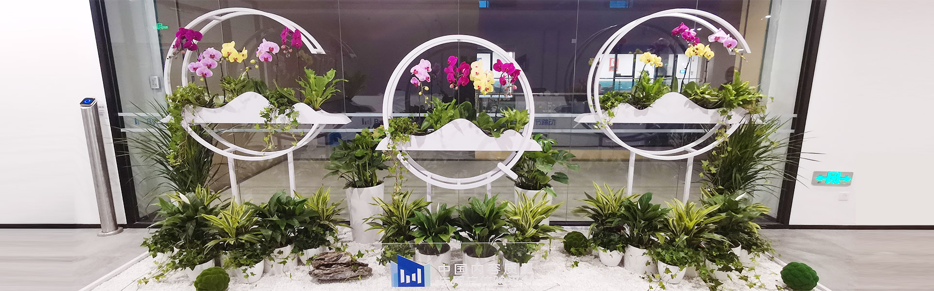 西安綠植租擺